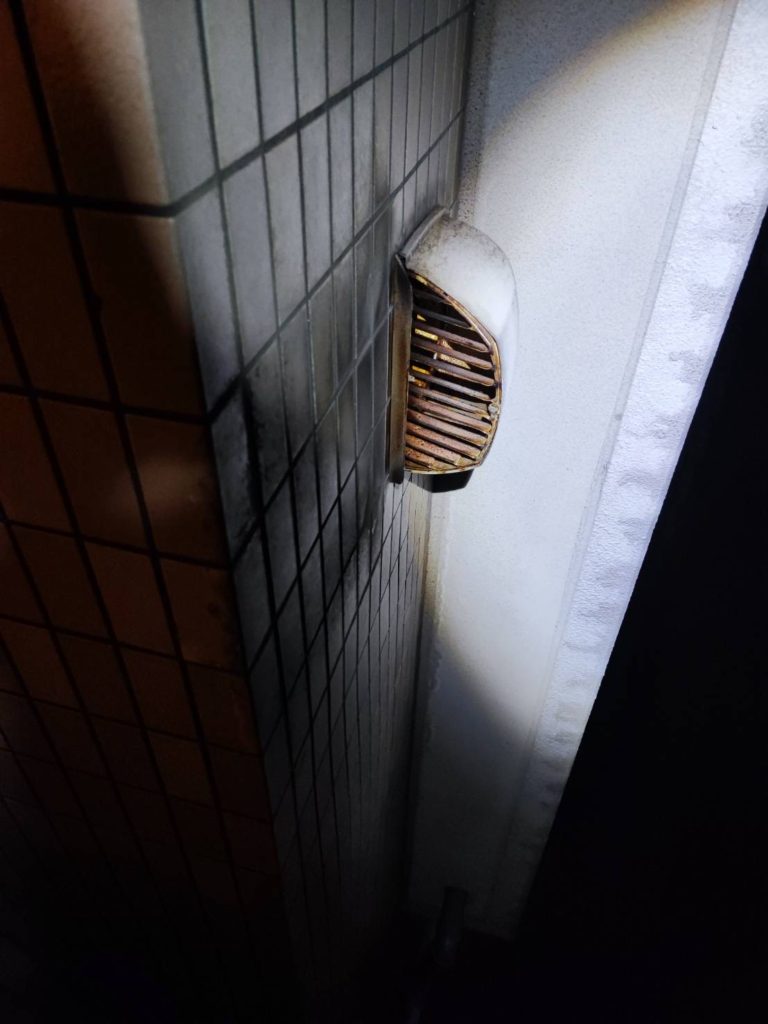 ※実物写真あり【香川県高松市】室内に換気扇からハチが入り込む【ミツバチ】