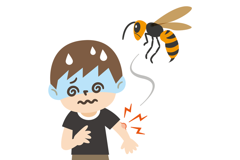 蜂に刺された時の症状は？