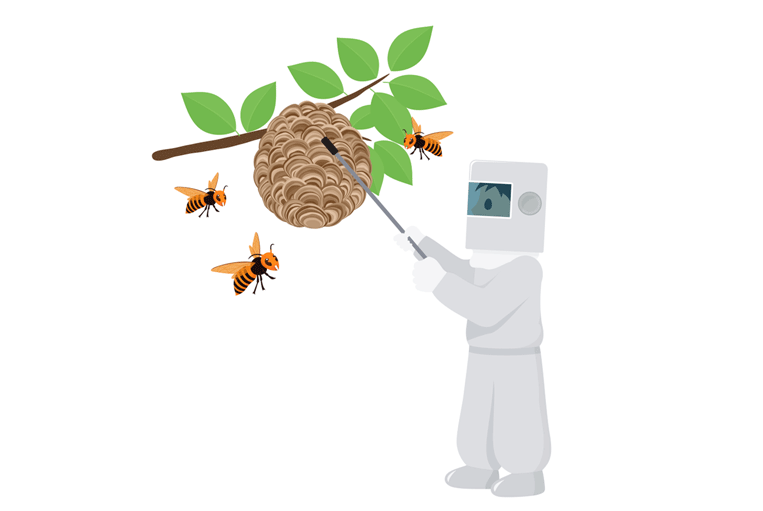 蜂駆除業者の安全対策