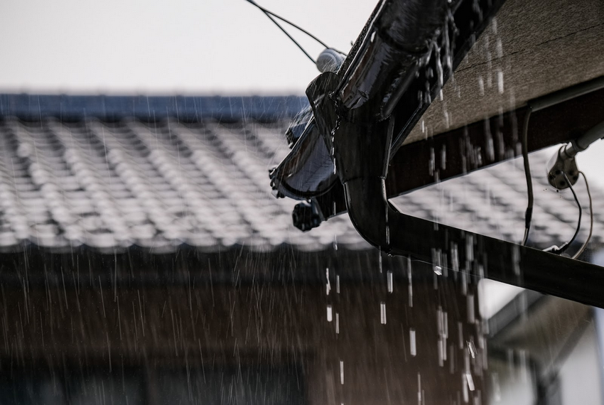 雨の日に蜂の巣を駆除する際の注意点